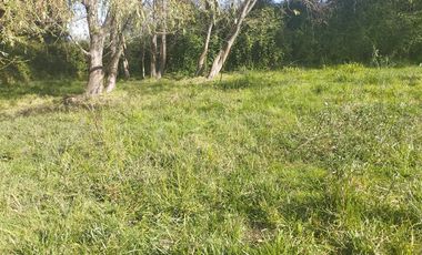 Parcela en Venta en Mariposas 2 Norte, km 4