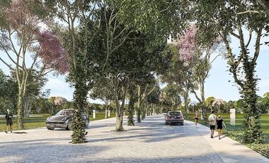 Terreno en venta Paseo Norte Privada Galiana Tixcuytun