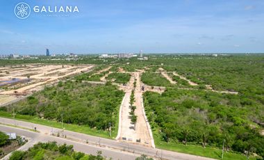Terreno en venta Paseo Norte Privada Galiana Tixcuytun