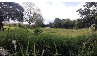 Lote Urbano En Venta En Circasia