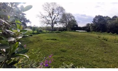 Lote Urbano En Venta En Circasia