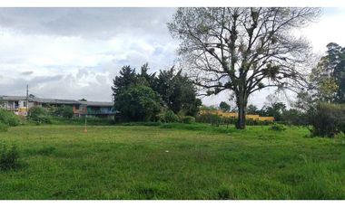 Lote Urbano En Venta En Circasia