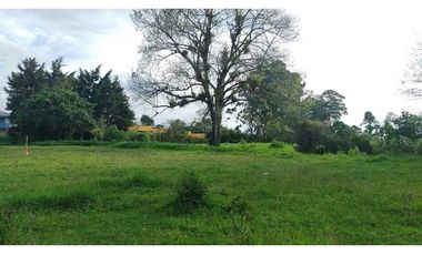 Lote Urbano En Venta En Circasia