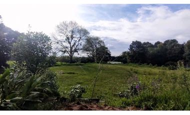 Lote Urbano En Venta En Circasia