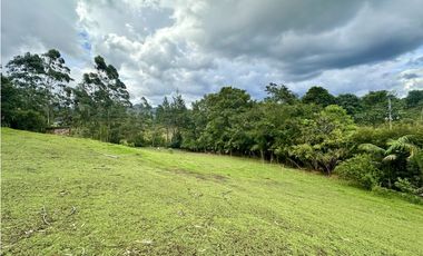 Venta de Lote en El Retiro Sector La Maria