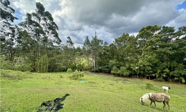 Venta de Lote en El Retiro Sector La Maria