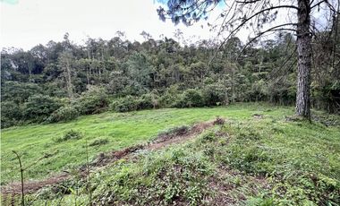 Venta de Lote en el Retiro