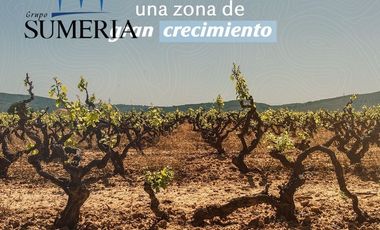 Terrenos residenciales en proyecto vinícola a 30 minutos de la ciudad
