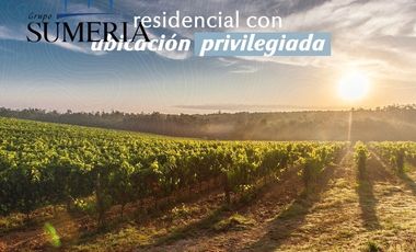 Terrenos residenciales en proyecto vinícola a 30 minutos de la ciudad
