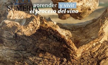 Terrenos residenciales en proyecto vinícola a 30 minutos de la ciudad
