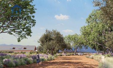 Terrenos residenciales en proyecto vinícola a 30 minutos de la ciudad