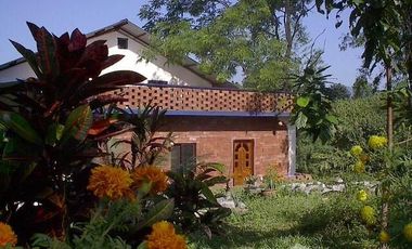 3 Bedroom House for sale in Rim Kok, Chiang Rai