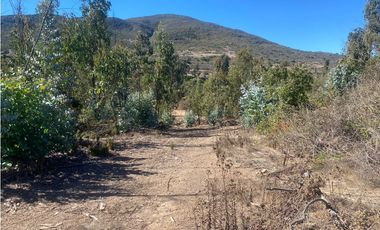 Excelente Terreno Fundo Las Gaviotas