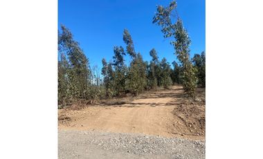 Excelente Terreno Fundo Las Gaviotas