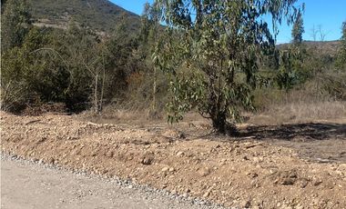 Excelente Terreno Fundo Las Gaviotas