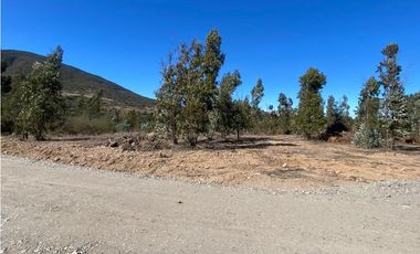 Excelente Terreno Fundo Las Gaviotas
