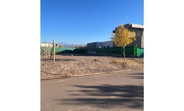 Venta Lote Olivos del Torreon