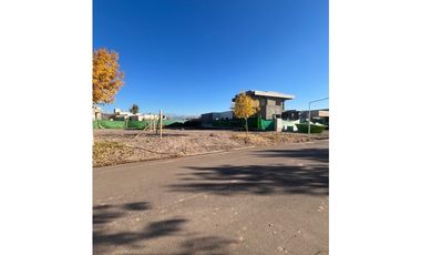 Venta Lote Olivos del Torreon