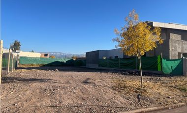 Venta Lote Olivos del Torreon