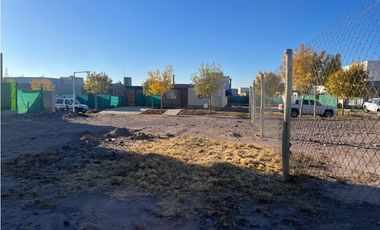 Venta Lote Olivos del Torreon