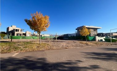 Venta Lote Olivos del Torreon