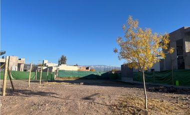Venta Lote Olivos del Torreon