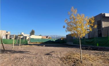 Venta Lote Olivos del Torreon