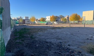 Venta Lote Olivos del Torreon