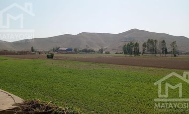 Terreno - Lima