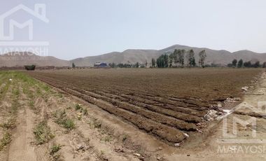 Terreno - Lima