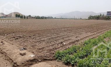 Terreno - Lima