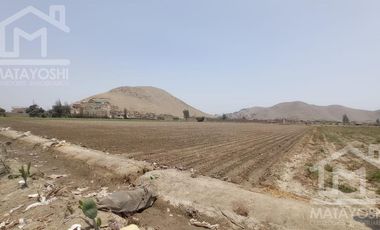 Terreno - Lima