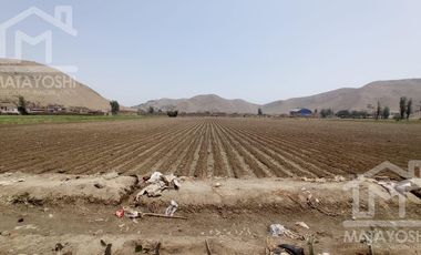 Terreno - Lima