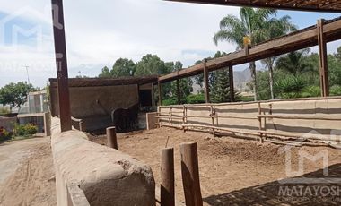 Terreno en  Fundo Pradera IV etapa, manzana E, lote 10, Asia