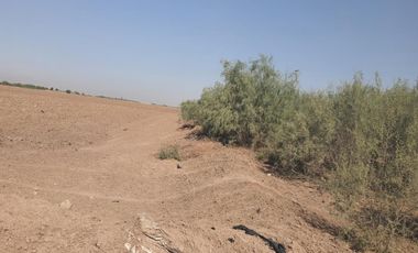 TERRENO AGRICOLA MATAMOROS COAHUILA
