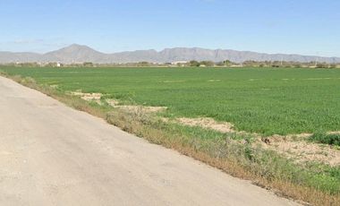 TERRENO AGRICOLA MATAMOROS COAHUILA