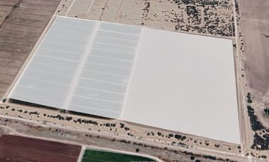 TERRENO AGRICOLA MATAMOROS COAHUILA