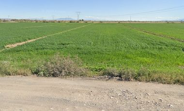TERRENO AGRICOLA MATAMOROS COAHUILA