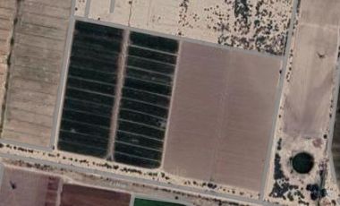 TERRENO AGRICOLA MATAMOROS COAHUILA