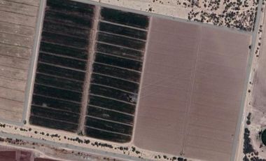 TERRENO AGRICOLA MATAMOROS COAHUILA