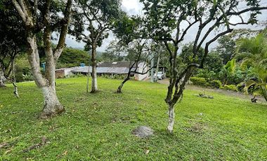 VENTA de FINCAS en MESITAS