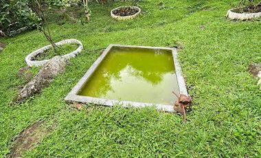 VENTA de FINCAS en MESITAS