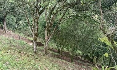 VENTA de FINCAS en MESITAS