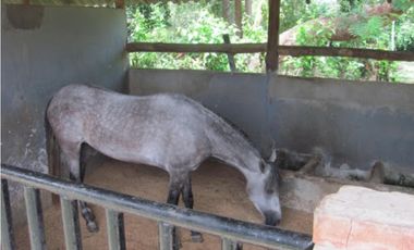 Finca en Venta en Cartagena de Indias - TURBACO