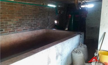 Finca cafetera tecnificada en Altagracia, Pereira