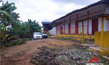 Finca cafetera tecnificada en Altagracia, Pereira