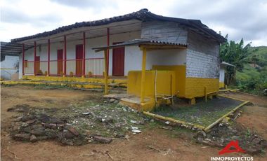 Finca cafetera tecnificada en Altagracia, Pereira