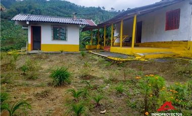 Finca cafetera tecnificada en Altagracia, Pereira