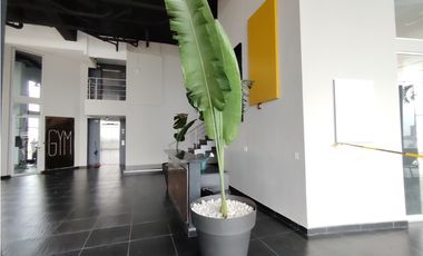 Excelente Oportunidad! Apartamento En Venta En Ave. Balboa PH Element
