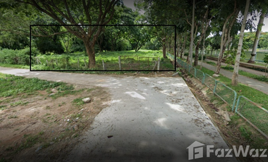 Land for sale in Rop Wiang, Chiang Rai